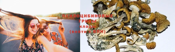 ALPHA PVP Бородино