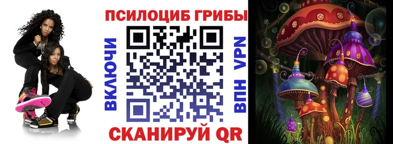 Псилоцибиновые грибы мицелий  Заволжье 
