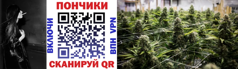 Конопля план купить закладку Заволжье